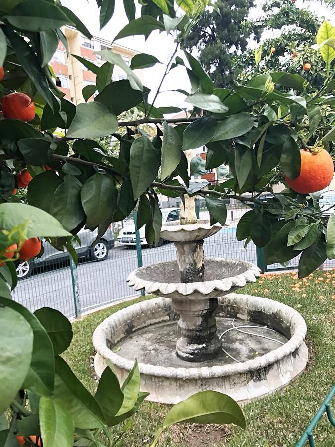 Gifsa Sevilla - Parque Alcosa Eksteriør bilde